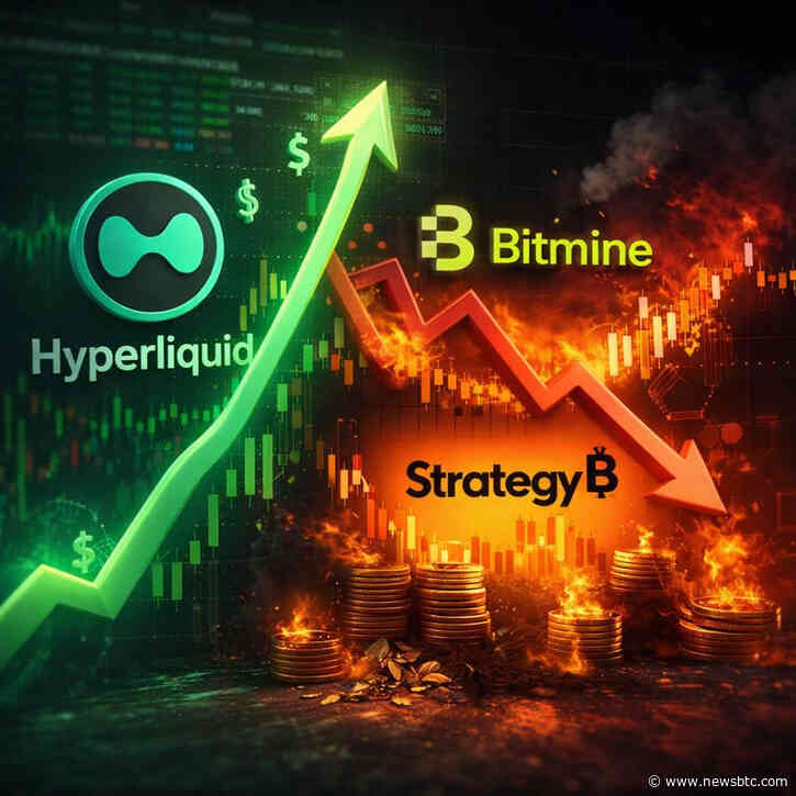 Hyperliquid Strategies Stays Profitable: Strategy And Bitmine Record Losses Above $10 Billion