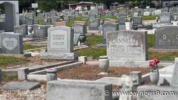 Tampa responds to Rep. Alvarez concerns about development project near cemetery
