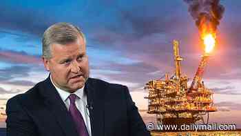 GUY ADAMS investigates whether BP has a death wish: First the once-great British oil giant declared war on fossil fuels - before a humiliating U-turn. Now it's fired the straight talking chairman brought in to fix the mess