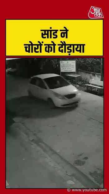 Viral Video | सांड ने चोरों को दौड़ाया #shorts #cow #ytshorts #shortsvideo #aajtakdigital
