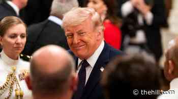Trump talks fertilizer, fuel to farmers in Wisconsin, but also Reflecting Pool, fountains
