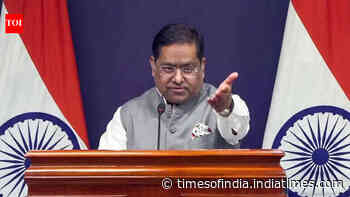 Expedite verifications, MEA tells Dhaka