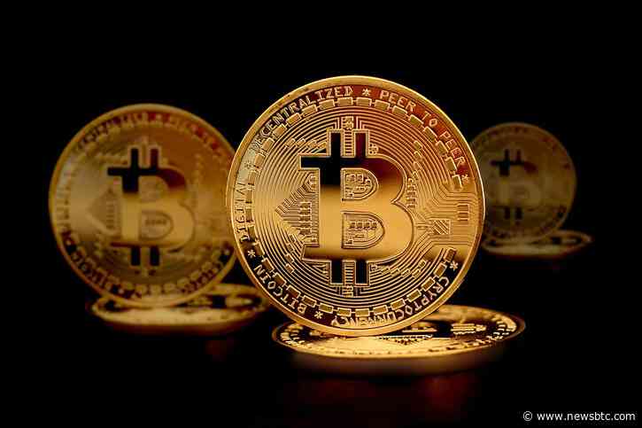 Bitcoin’s Market Structure Reflects The Influence Of Major Investors