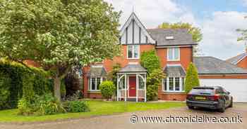 The £950,000 Newcastle home in a quiet cul-de-sac with amazing south-west facing garden