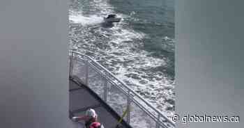 ‘Extraordinarily foolish’: Video shared online shows boat jumping in BC Ferry’s wake