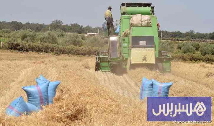 موسم الحصاد تحت التهديد.. فلاحون يواجهون شح الآلات وخطر الحرائق