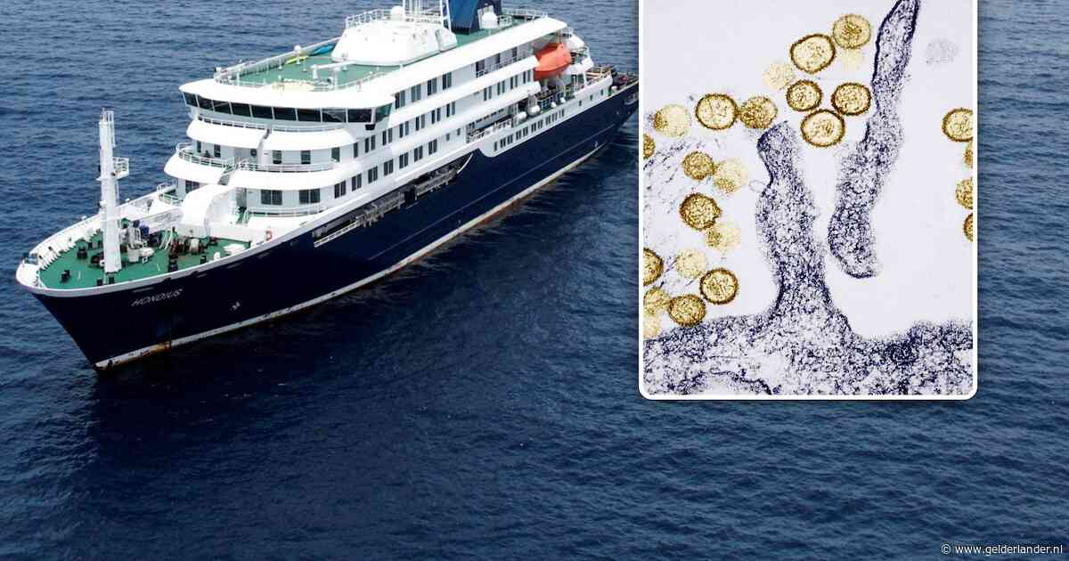 Argentinië breidt onderzoek naar oorsprong hantavirus op cruiseschip Hondius uit