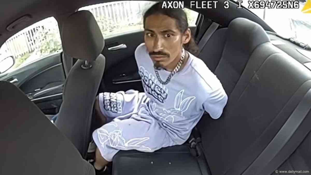 Wild moment suspect jumps into front seat of police car and DRIVES OFF before dramatic intervention