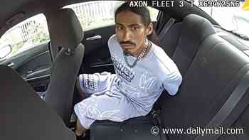 Wild moment suspect jumps into front seat of police car and DRIVES OFF before dramatic intervention