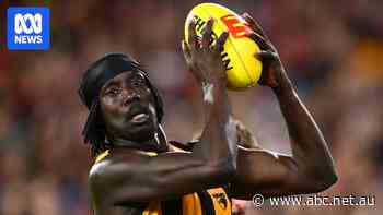 Hawks forward target of racist online abuse after loss to Bulldogs