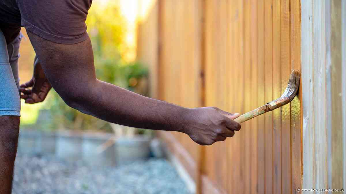 'My neighbour only painted their side of garden fence, I'm livid for one reason'