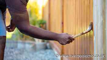 'My neighbour only painted their side of garden fence, I'm livid for one reason'