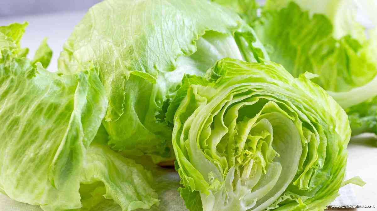 Lettuce stays crispy for 4 weeks if covered in 1 household item before going in the fridge