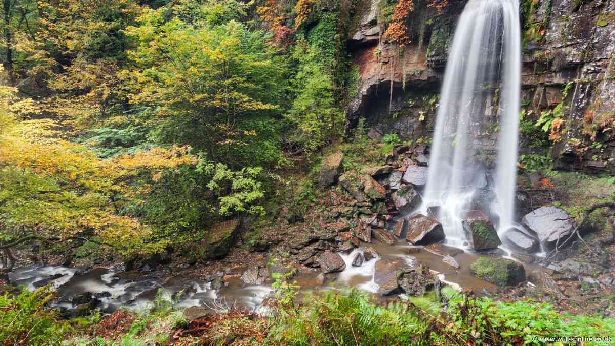 People flock to Wales' famous waterfalls but this one is much quieter