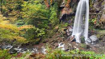 People flock to Wales' famous waterfalls but this one is much quieter