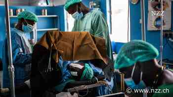 Und 200 Meter von Dr. Josephs Blumen wartet der Horror – wie ein Chirurg in einem abgelegenen Spital im Sudan dem Krieg trotzt