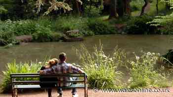 Beautiful park on the edge of Cardiff has one feature that sets it apart