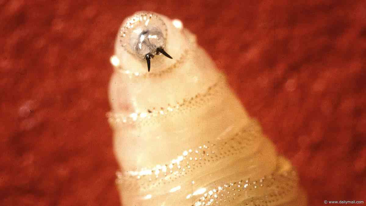 SECOND case of flesh-eating parasite that devours victims alive detected in US