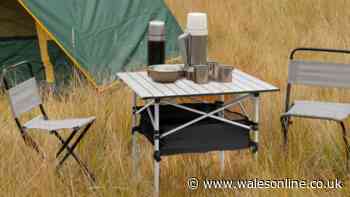'Sturdy' folding table with storage for picnics and camping now £29 beating Amazon