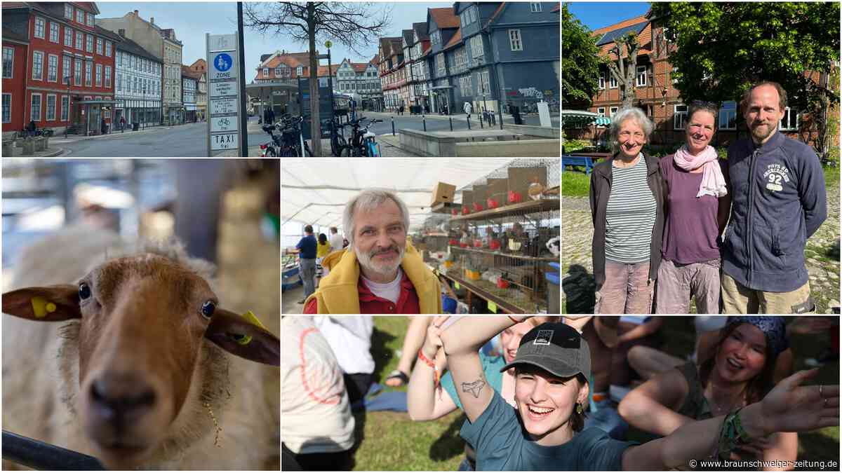 Nicht verpassen: Diese fünf Top-Themen bewegten die Wolfenbütteler