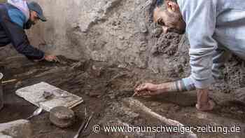 Neues Skelett in Pompeji: Erfüllte dieses Tier einst eine wichtige Aufgabe?