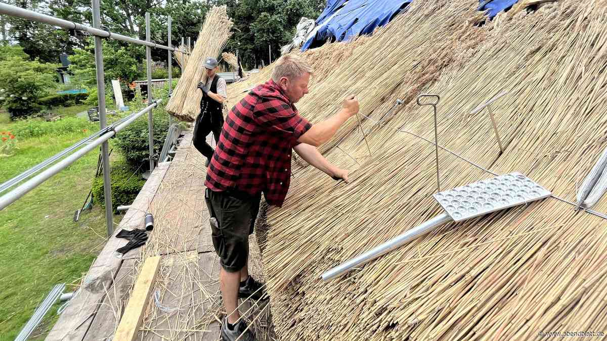 Reetdachdecker aus Kirchwerder – in ganz Hamburg gibt es nur noch sie