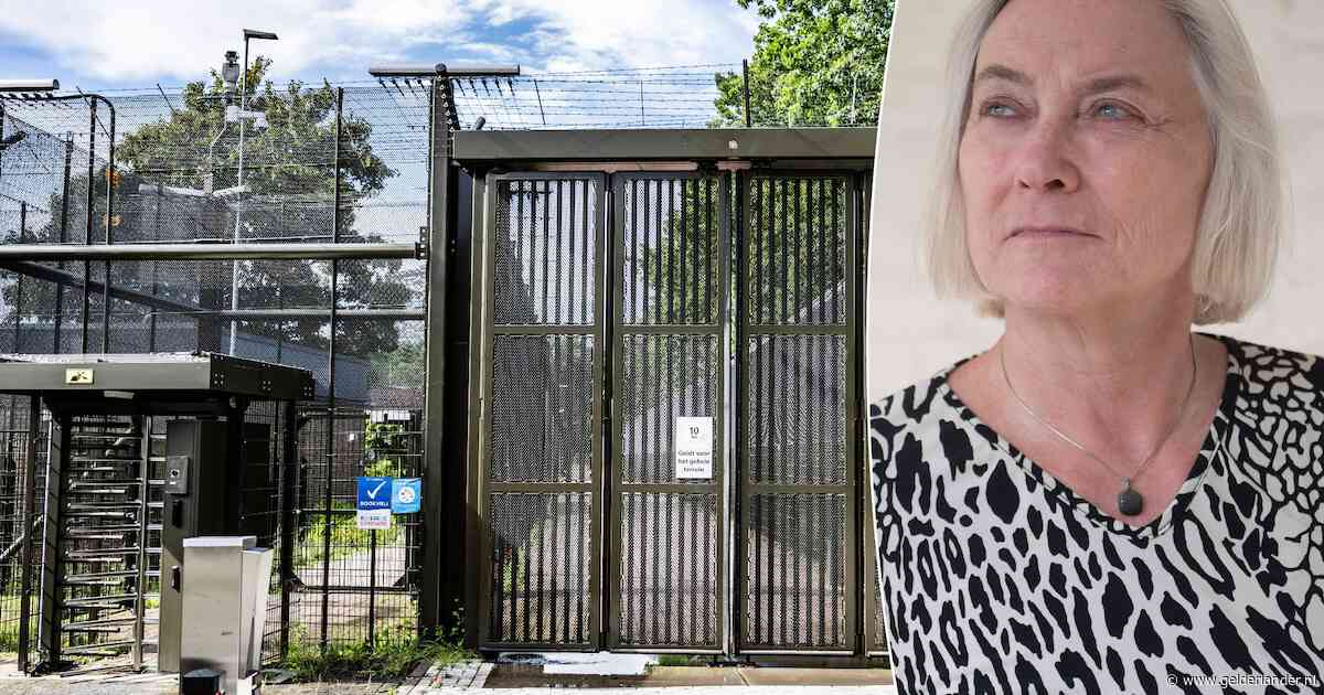 Tbs-directeur over het systeem dat steeds vaster komt te zitten: ‘Misschien zijn we iets té voorzichtig geworden’