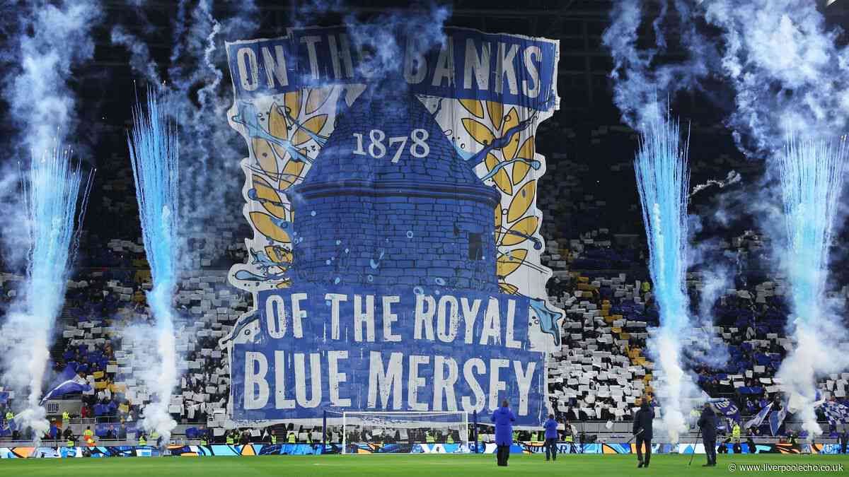 Amid the disappointment there are five positives Everton can take from historic season
