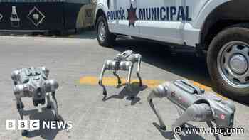 Robodogs and helicopters: One Mexican city's approach to World Cup security
