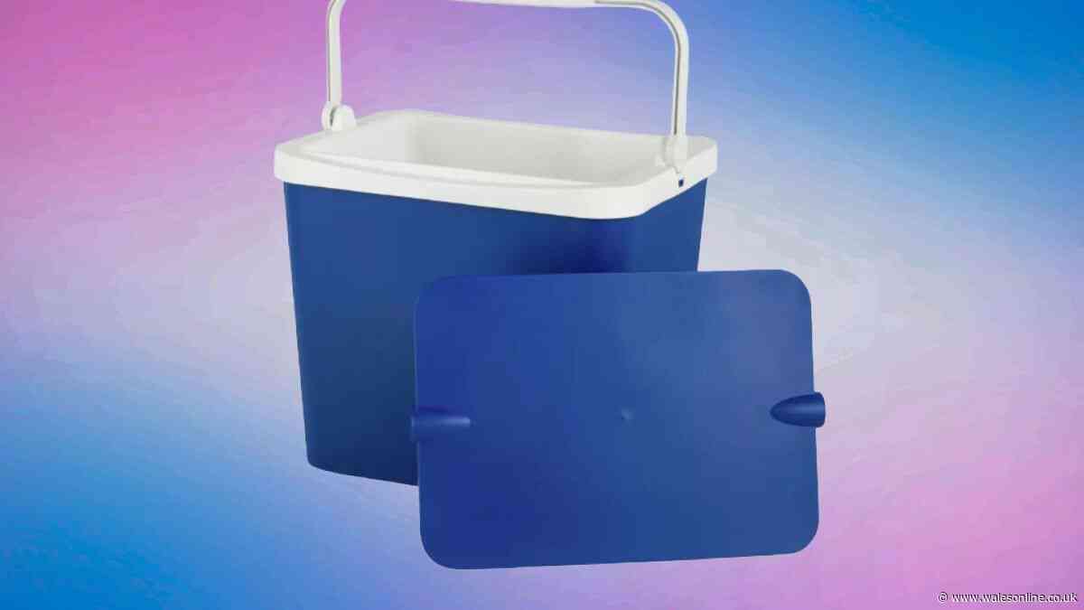 Argos family-sized cool box drops to £2.80 - perfect for picnics and beach days