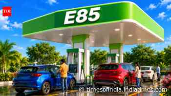 E85 fuel to get Rs 20/litre cheaper as India ramps up ethanol push