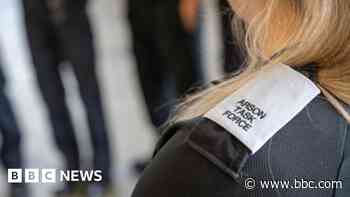 Scheme aimed at young arsonists hailed a success