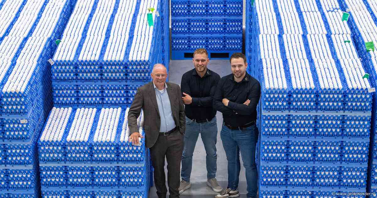 216.000 eieren per uur door één machine: zo werkt de hypermoderne eierfabriek in Tiel