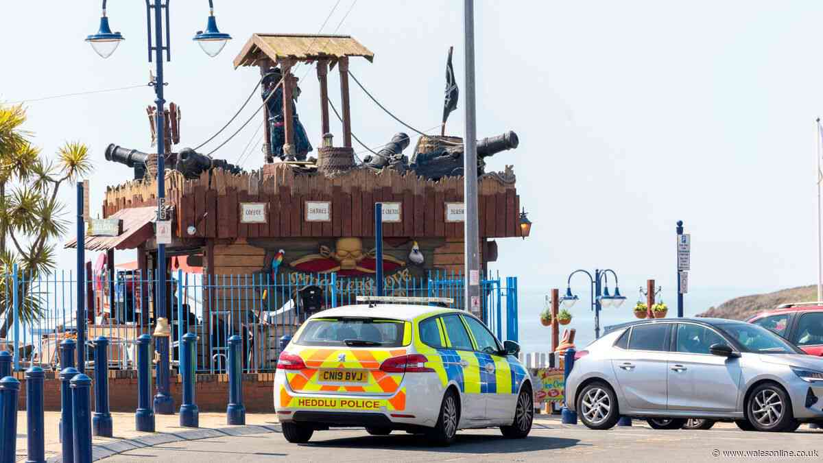 Major police update on Barry stabbing which saw teen lose leg