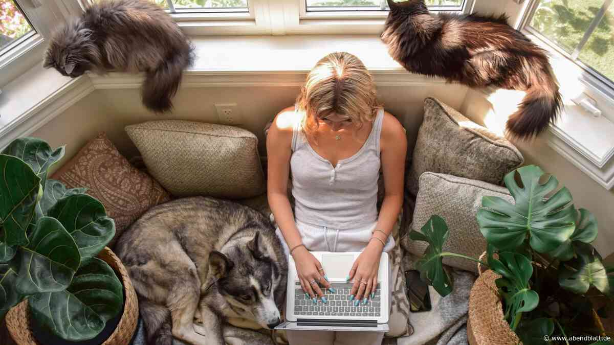 Psychische Störung: Viele Hamburger halten mehr Tiere, als sie versorgen können