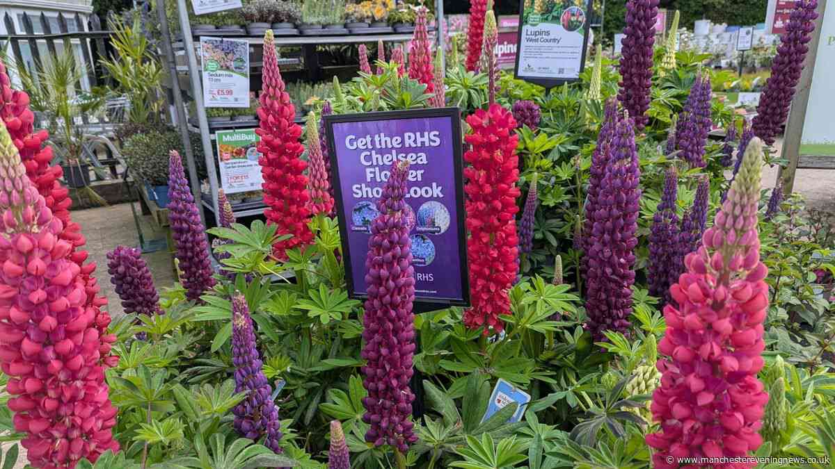 The Bolton garden centre with gorgeous plants, incredible cakes and a £2.45 soft play