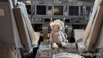 American Airlines reunites Fort Worth boy with beloved teddy bear