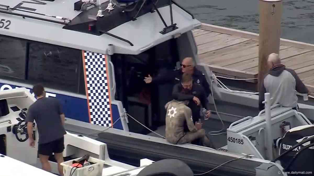 Tragedy as diver, 35, is mauled to death by four-metre shark in front of his family while spearfishing on a remote island off WA coast - in second fatal attack in the state in three weeks