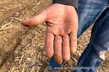 Need for farm innovation never greater