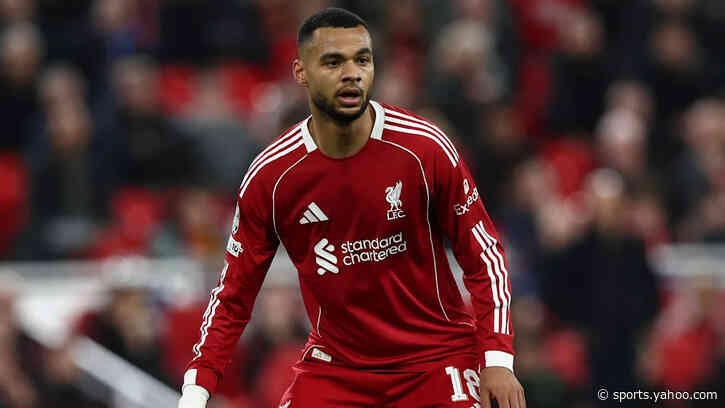 Massive windfall: Cody Gakpo's true price as Tottenham start process to sign Liverpool star