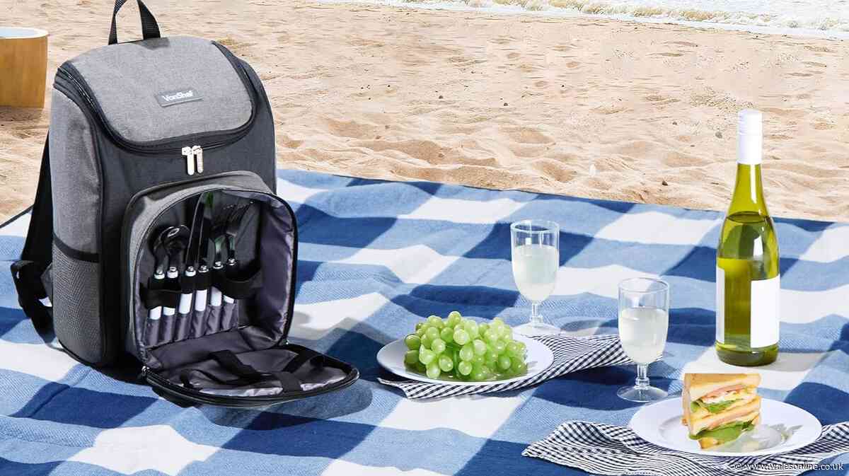 Fans rate £22.99 picnic backpack that 'keeps food and drinks chilled for a long time'