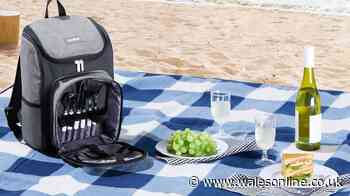 Fans rate £22.99 picnic backpack that 'keeps food and drinks chilled for a long time'