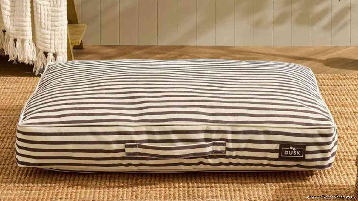 Dusk's 'super comfy' £30 pet bed owners say their dogs are 'obsessed' with