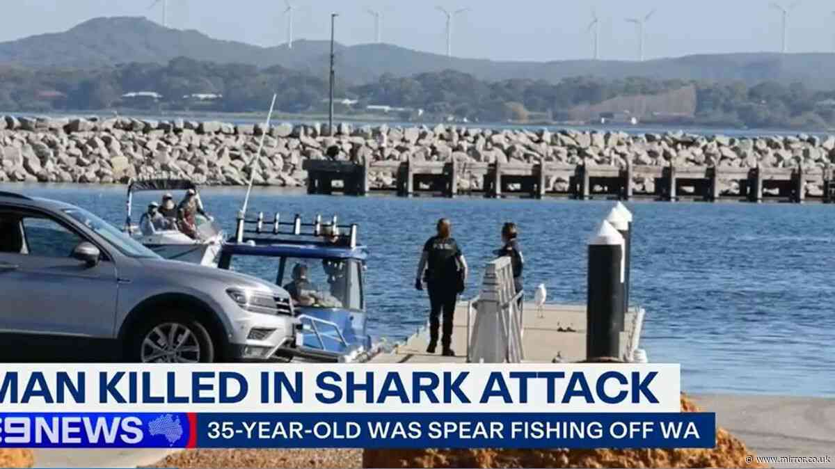 Man dies from shark attack while fishing with family in Australia