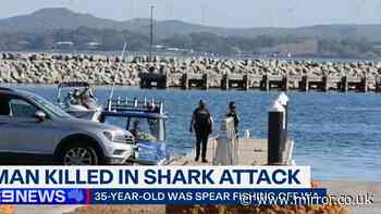 Man dies from shark attack while fishing with family in Australia
