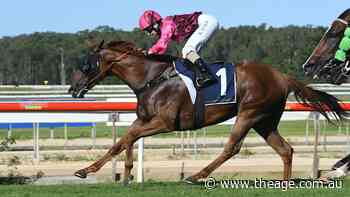 Race-by-race tips and previews for Wyong on Sunday