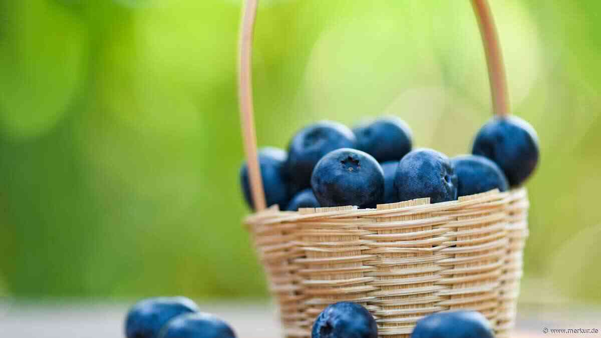 Heimische Superfoods: Die überraschend bessere Alternative zu Chia, Açaí und Quinoa