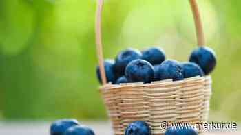 Heimische Superfoods: Die überraschend bessere Alternative zu Chia, Açaí und Quinoa