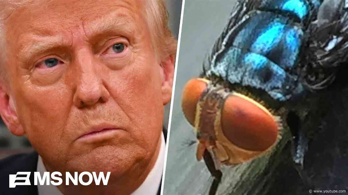 How Trump screwed up on screwworms