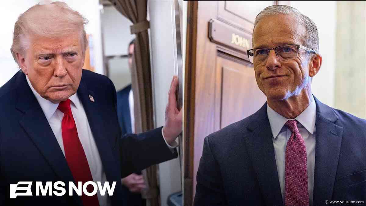 'Survival': Senate GOP gives in to Trump yet again